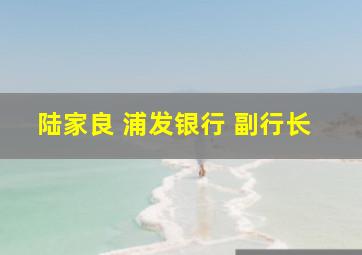 陆家良 浦发银行 副行长